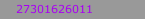 27301626011